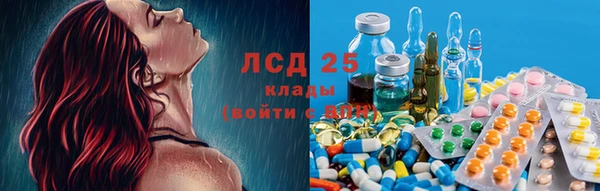 дживик Дмитровск