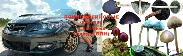 гашик Дмитриев