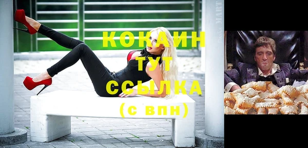 гашик Дмитриев
