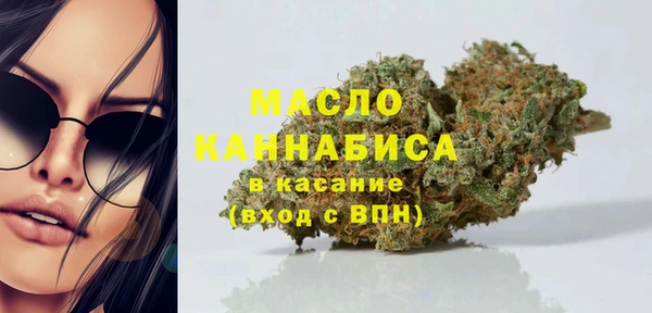 гашик Дмитриев