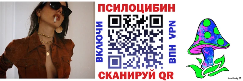 закладка  Златоуст  Галлюциногенные грибы Cubensis 